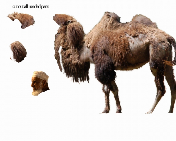 Creation of Parallel Camel Universe: Step 4